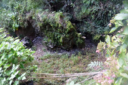 �吳���t��