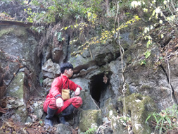 ���W�i�̌��i��򓴁j