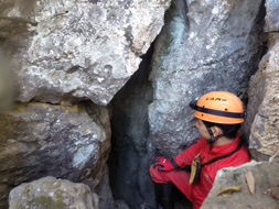 ���C�R�i���C���j