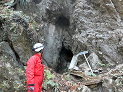 �䗘�����s���i���肩�瓴�j