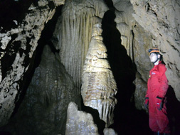 ��Ԑ_�Џߓ���