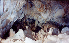 �ꕶ�E�퐶�l�̏Z���Ճz�[��