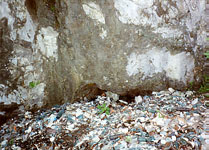 �����i�K���X���U���j