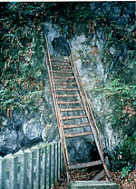 �����i���w�p��q����j