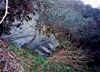 width="207"