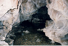 width="223"