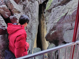 ��R�ٍ��V�̌�