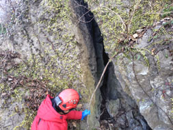 �ٍ��V���̏���