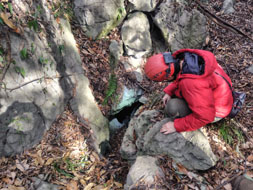 ��R�R���̌�