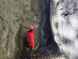 ����s���̌��i����_�Ђ̌��j