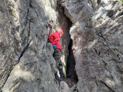 ����_�Ђ̓�����