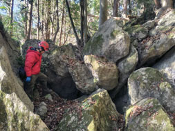 ����_�Љ��̌�