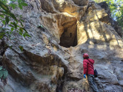 �^�J�m�X��̌��i�ۊx���A�j