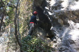 ����������̌�