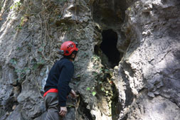 ����������̌���Q��