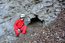 ���d�l�i���d���j