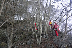 ���d�l�t��