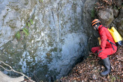 �����l�i�������j