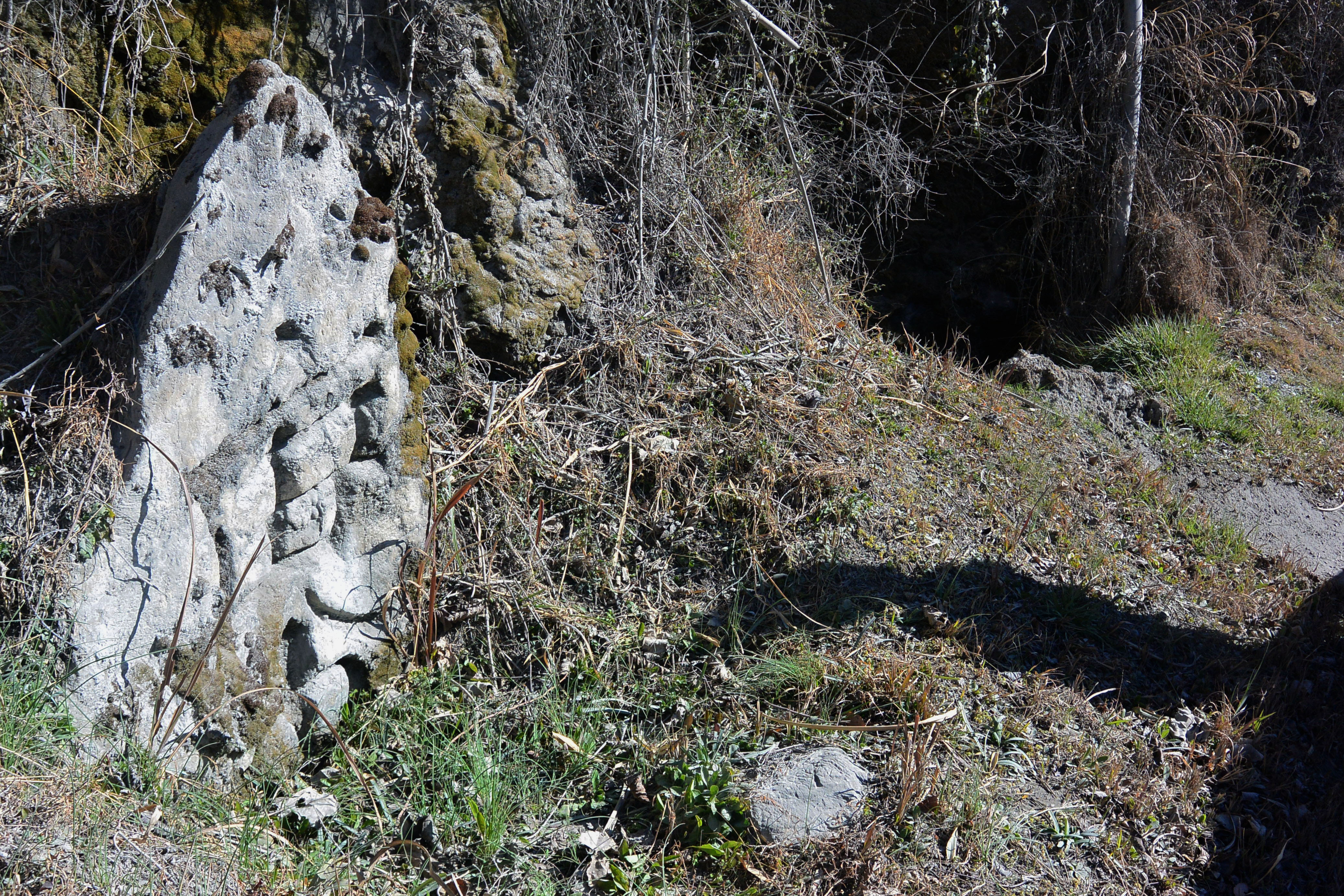 (��)�M�\���̌�