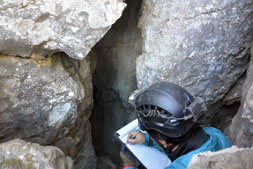 ���C�R�i���C���j