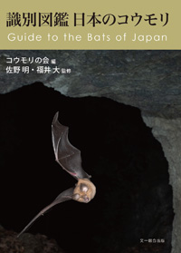 識別図鑑 日本のコウモリ