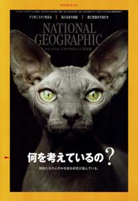 ナショナルジオグラフィック 日本版　２０２２年１０月号